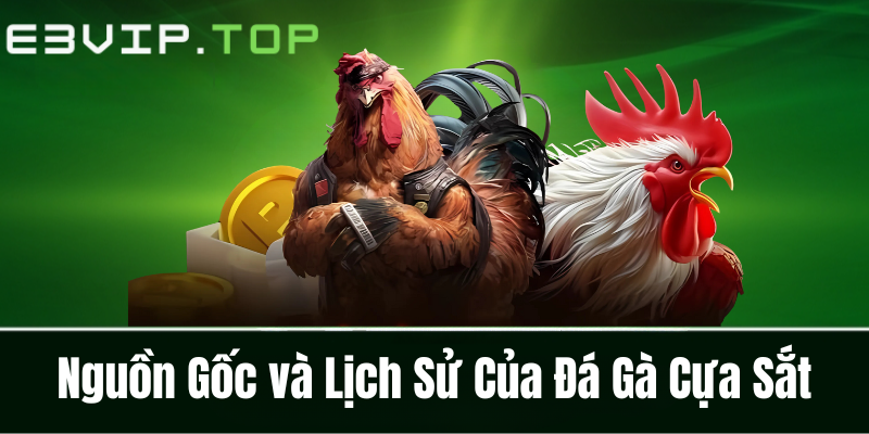 Nguồn Gốc và Lịch Sử Của Đá Gà Cựa Sắt
