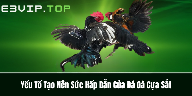 Yếu Tố Tạo Nên Sức Hấp Dẫn Của Đá Gà Cựa Sắt